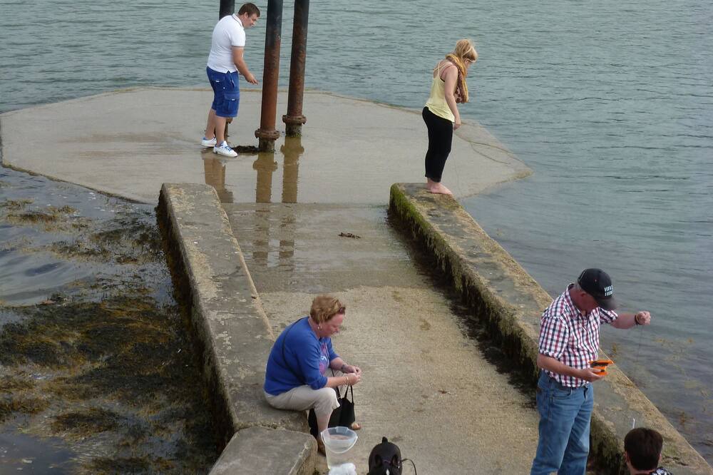Photo of Others in Bronaber