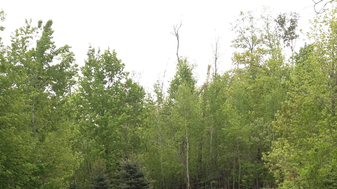 Photo of Outdoor in Ottertail