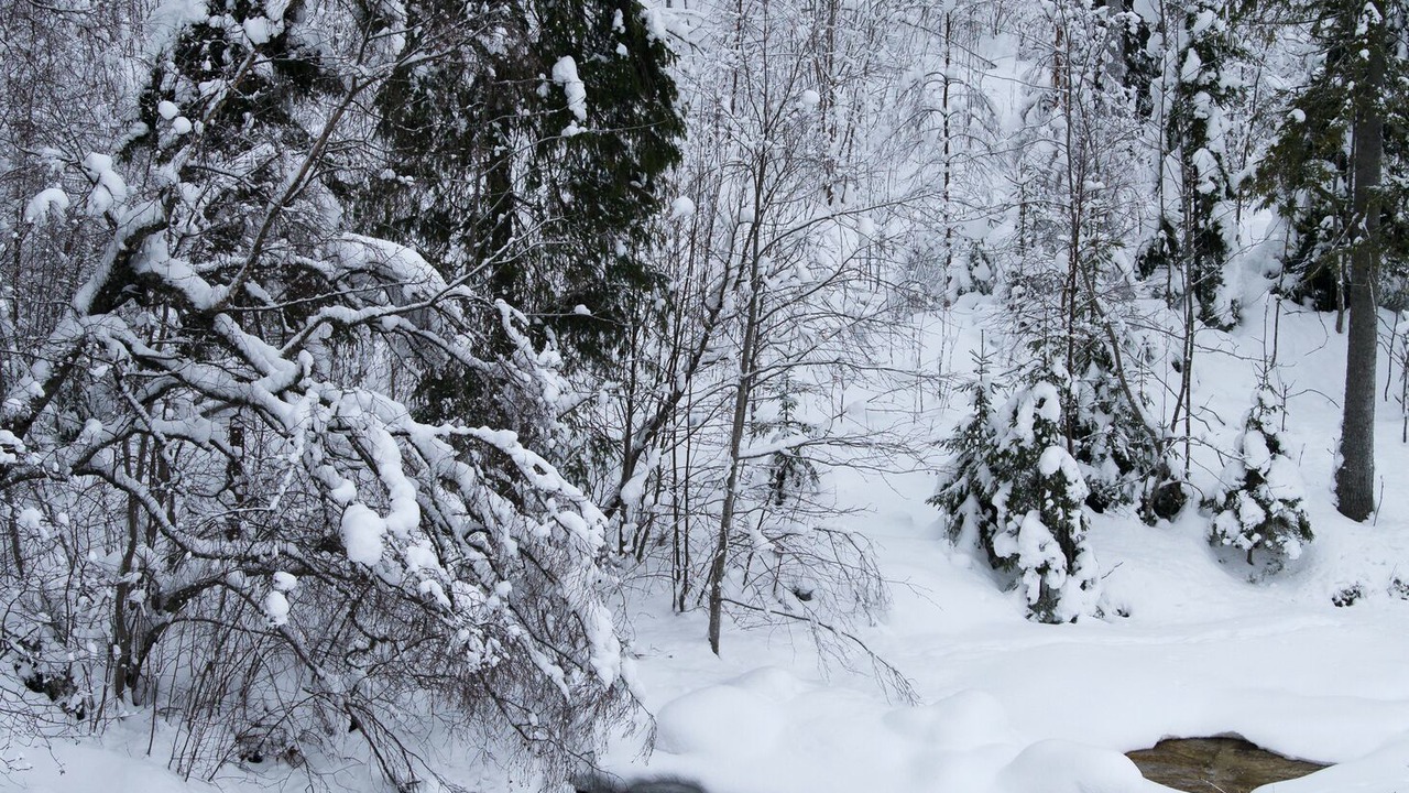 Photo of Bedroom in Eggedal