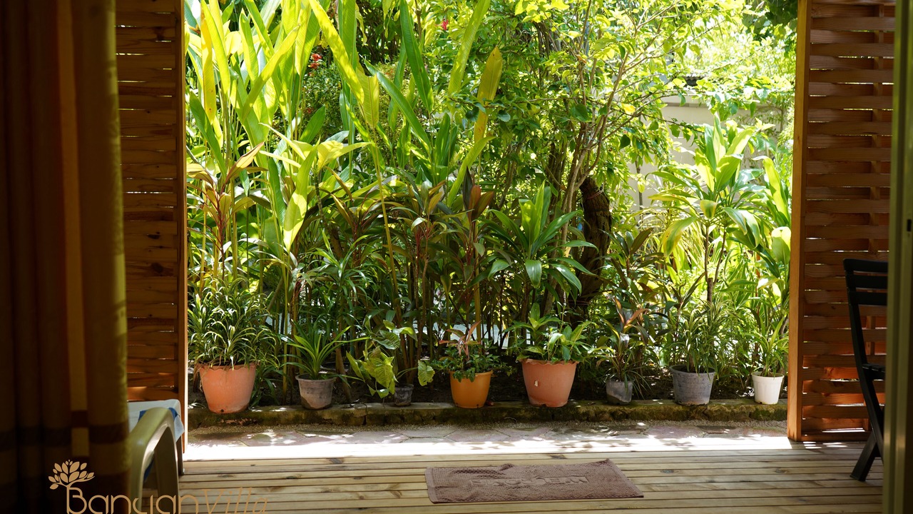 Photo of Bedroom in Dhangethi