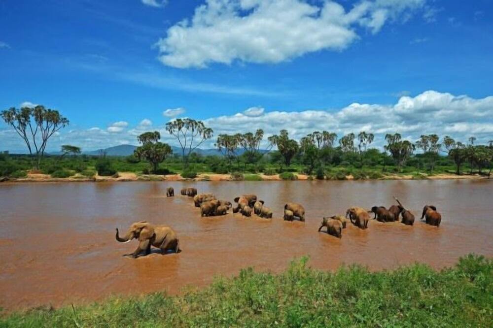 Photo of Outdoor in Samburu