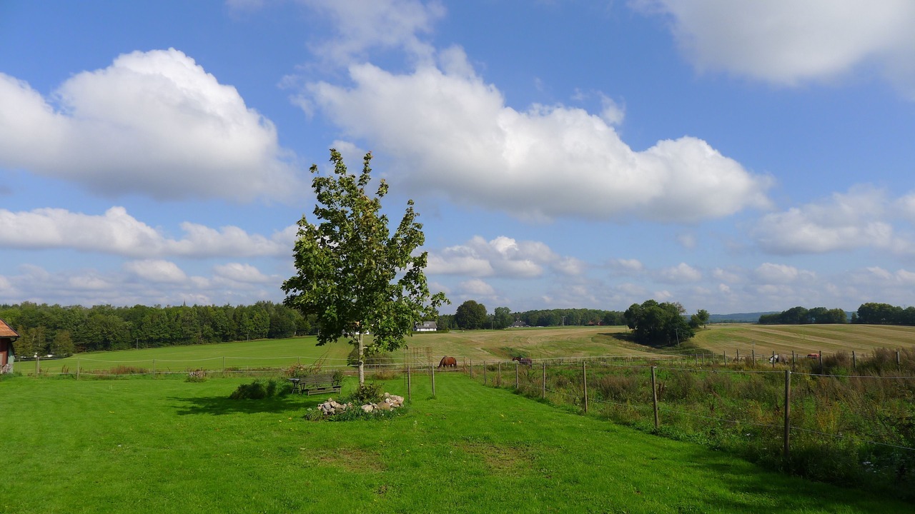 Photo of Outdoor in Bolestad