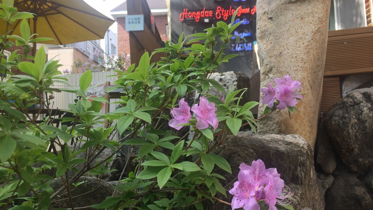 Photo of Outdoor in Mapo