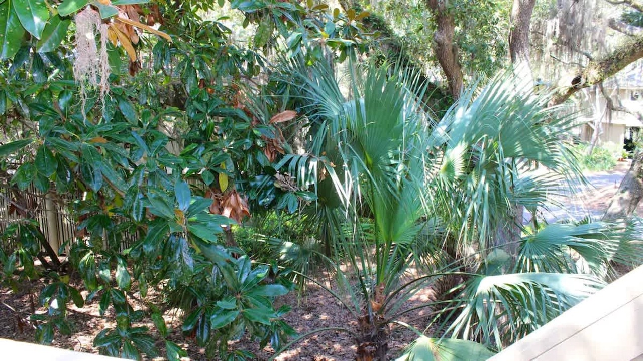 Photo of Others in Seabrook Island