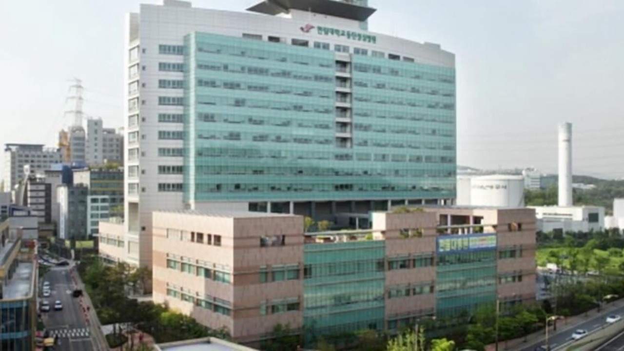 Photo of Outdoor in Dongtan