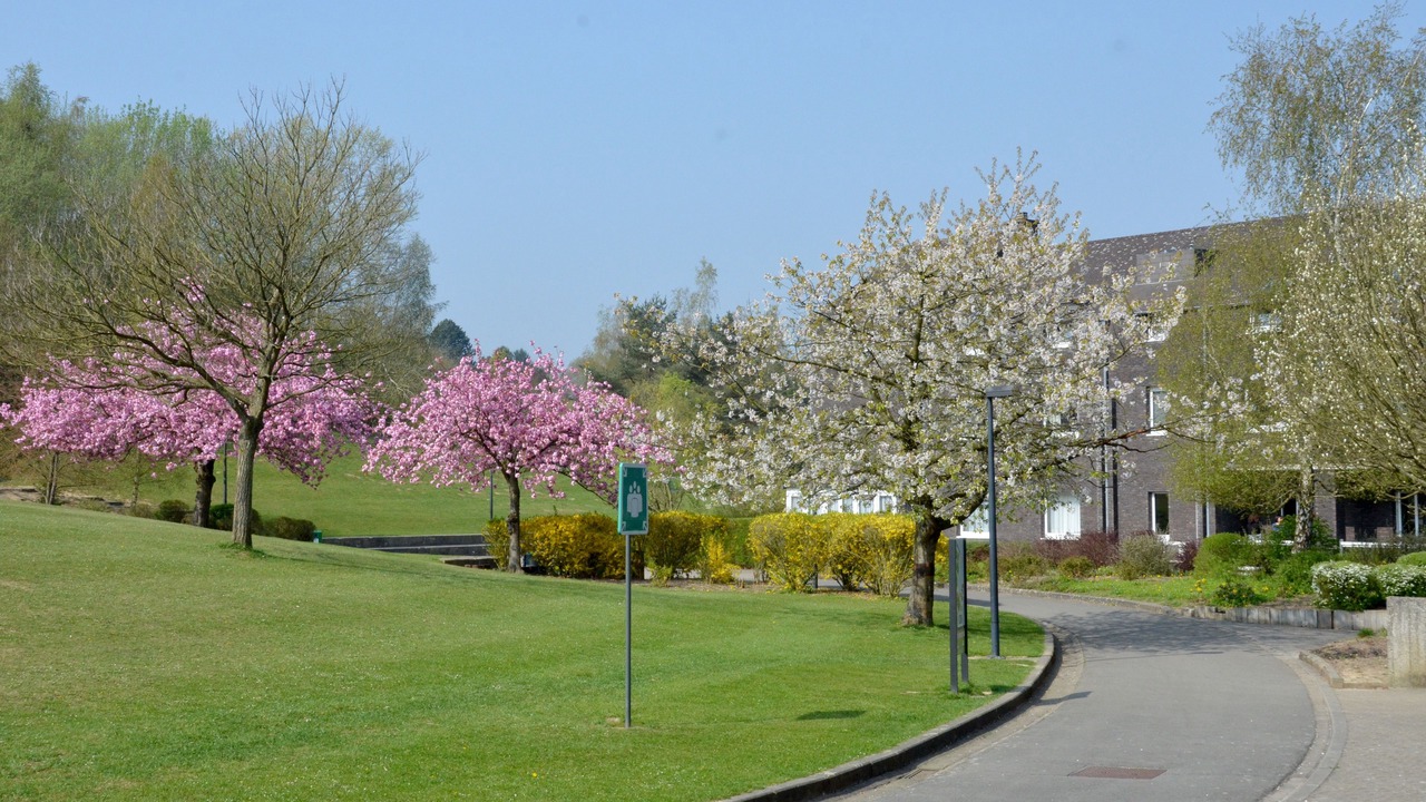 Photo of Outdoor in Transvaal