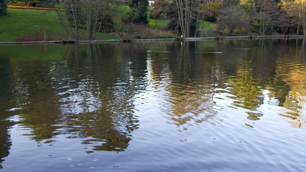 Photo of Others in Stroud