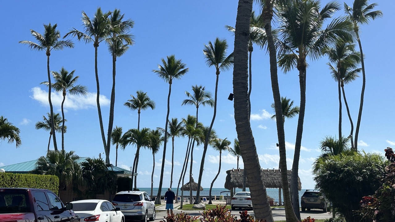 Photo of Outdoor in Islamorada