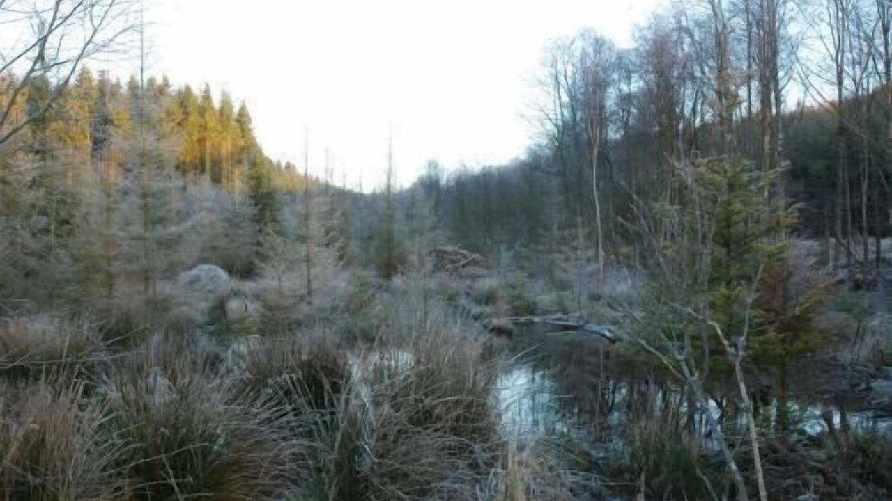 Photo of Outdoor in Courtil