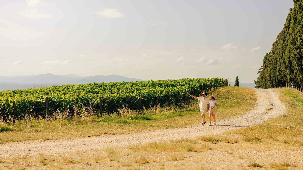 Photo of Outdoor in Cinigiano