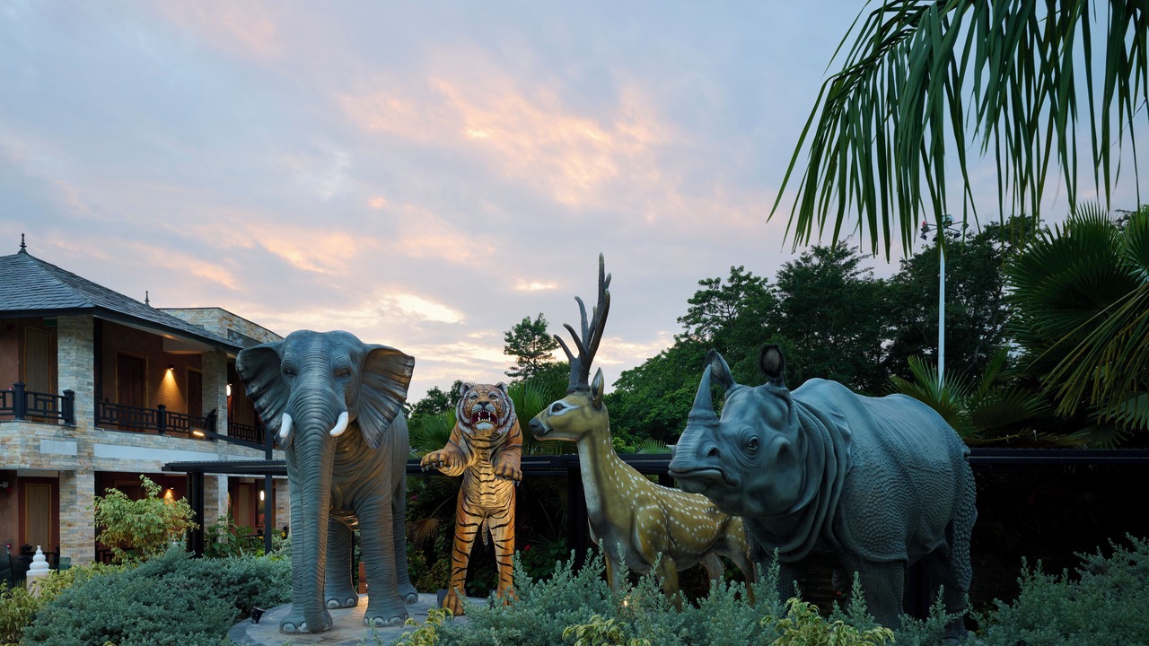 Photo of Outdoor in Sauraha