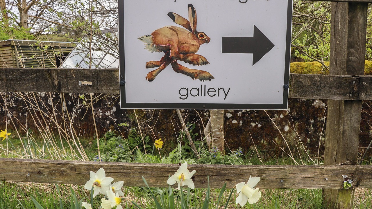 Photo of Outdoor in Hallington