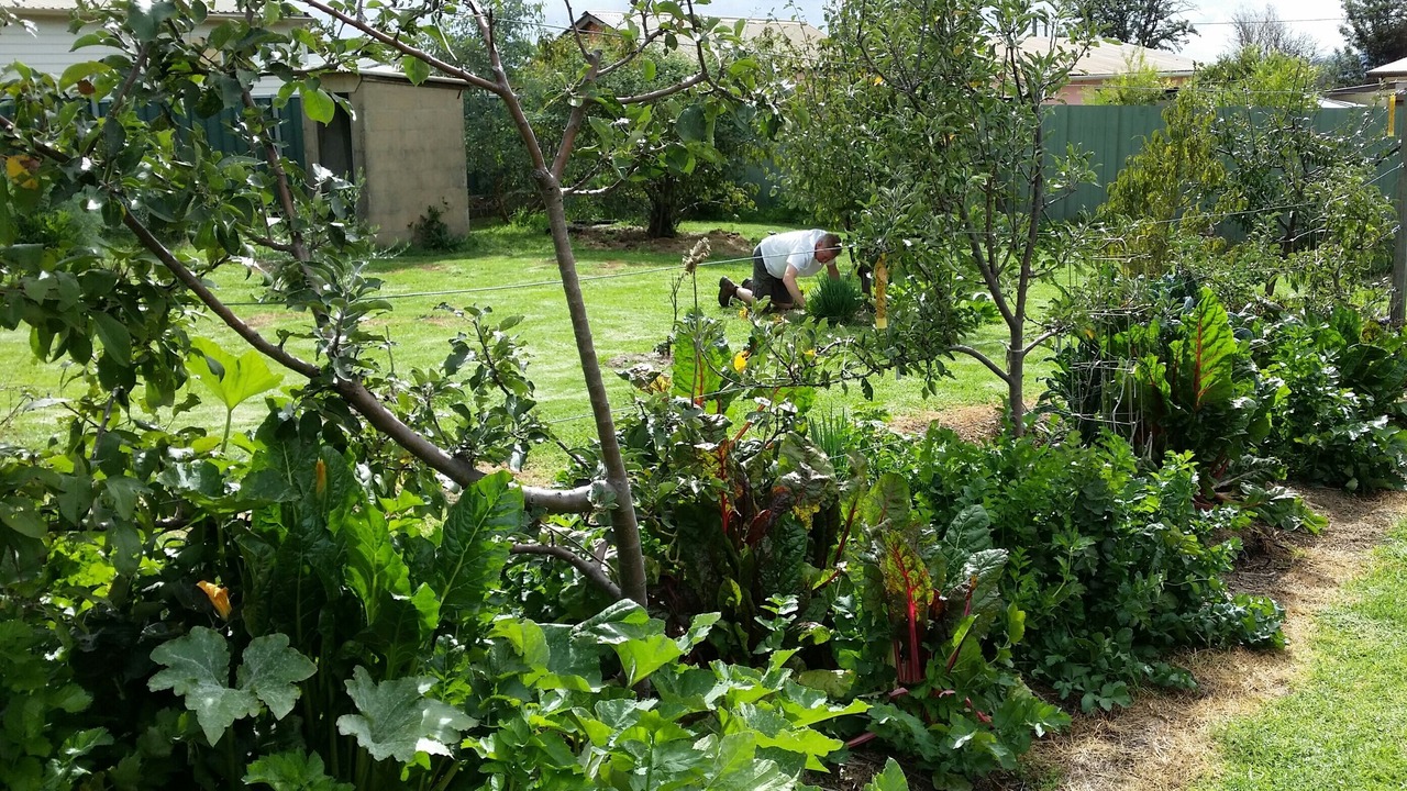 Photo of Outdoor in Kandos