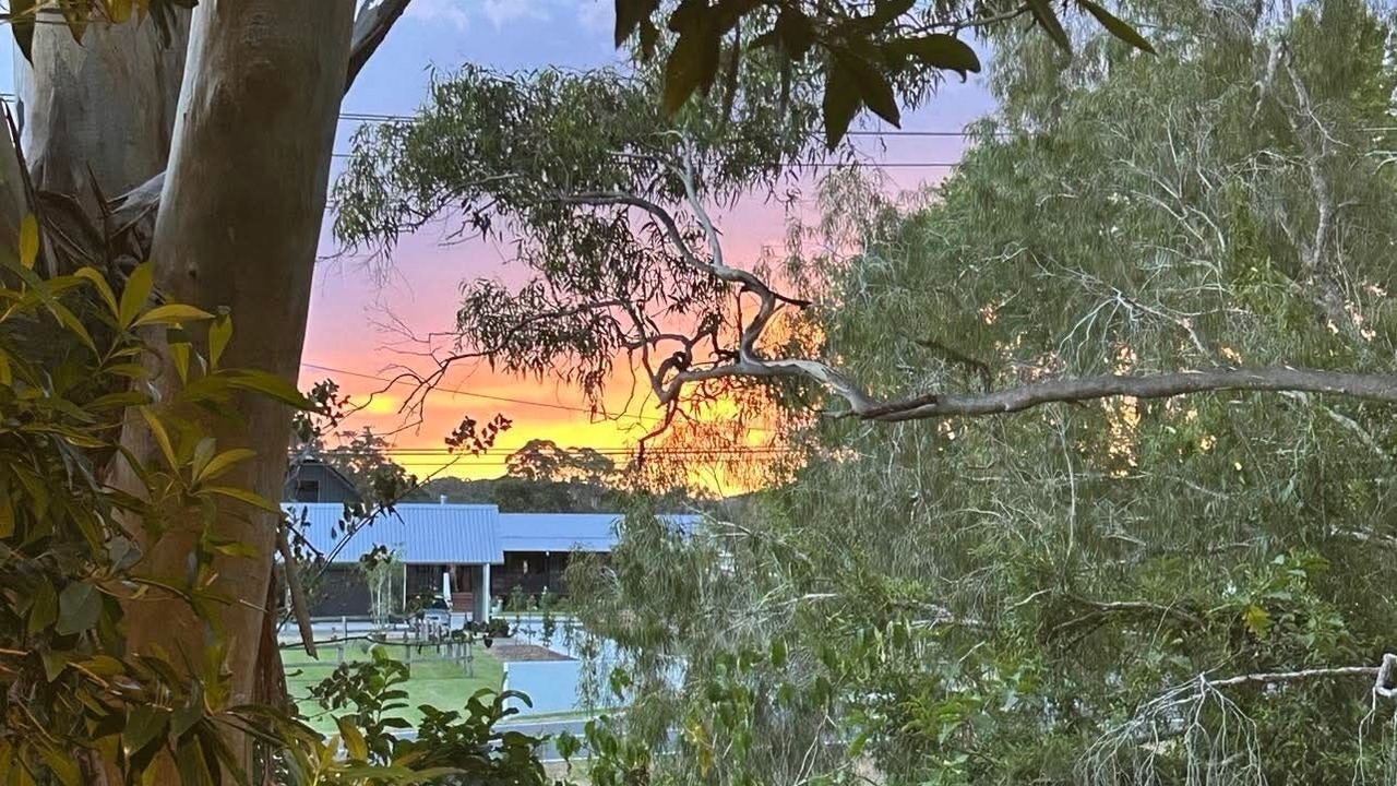 Photo of Outdoor in Tallebudgera Valley