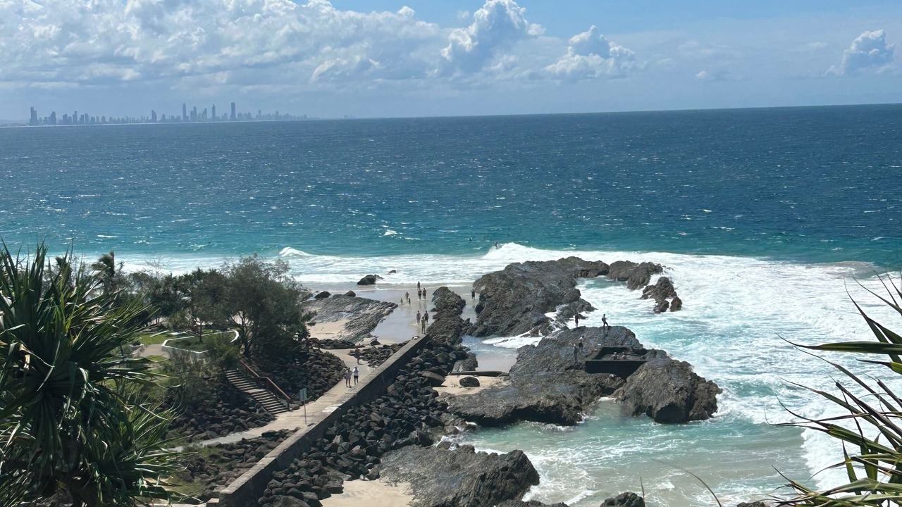 Photo of Others in Tallebudgera Valley