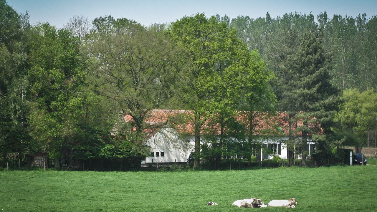 Photo of Others in Holsbeek