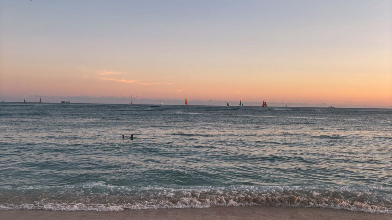 Photo of Outdoor in Whitney Beach