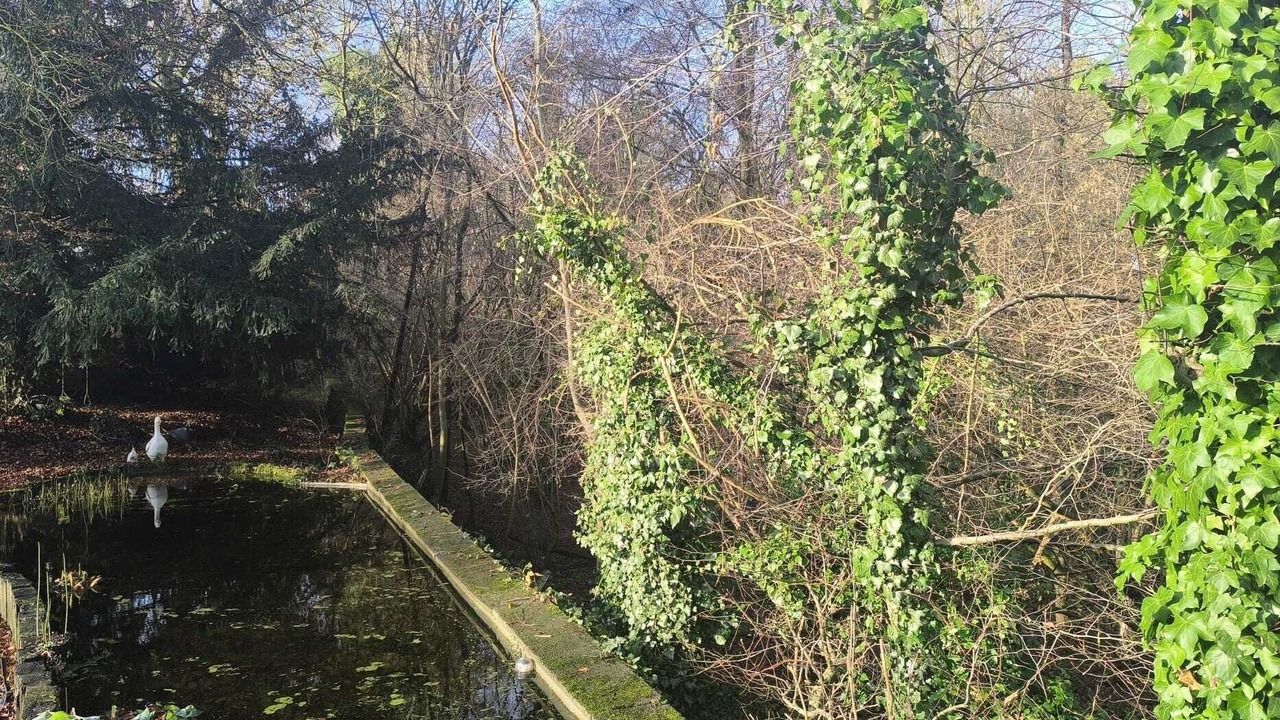 Photo of Outdoor in Chaumont-Gistoux