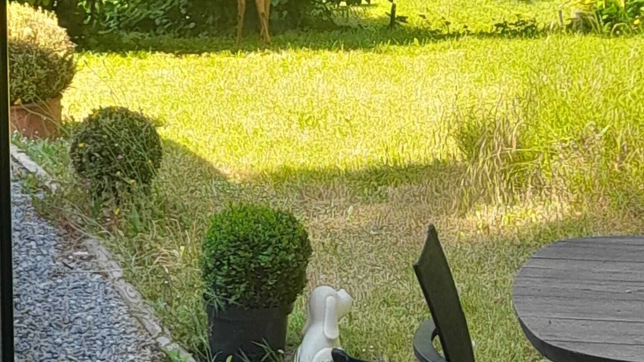 Photo of Outdoor in Chaumont-Gistoux