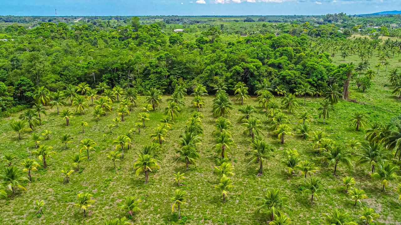 Photo of Outdoor in Dangriga