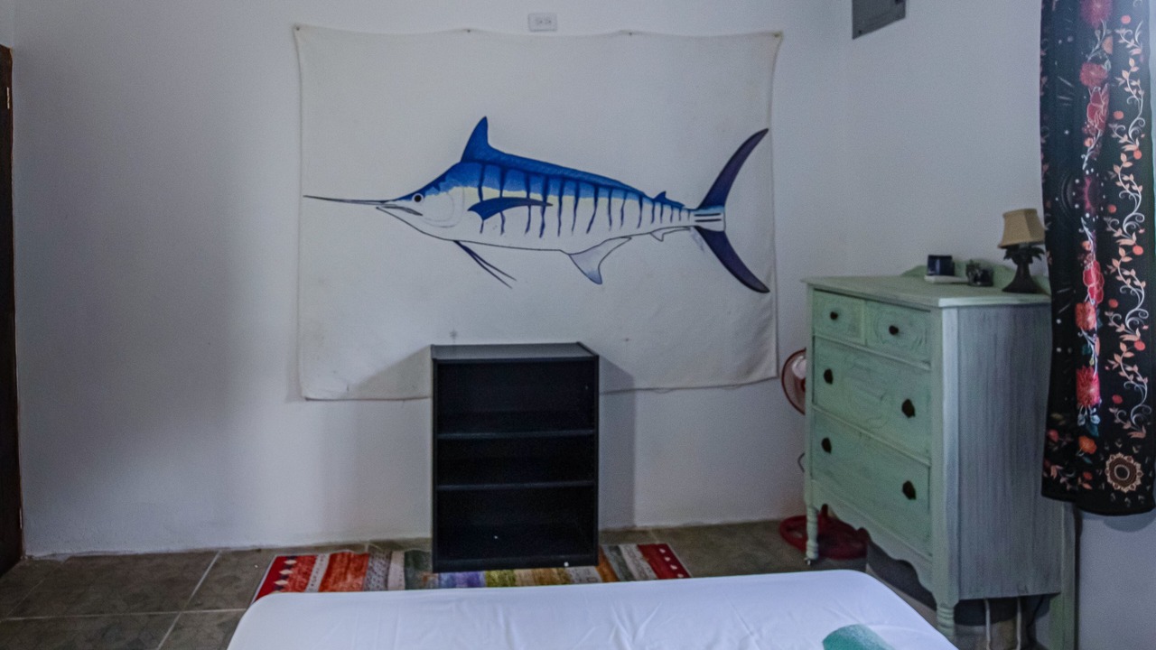 Photo of Others in Dangriga