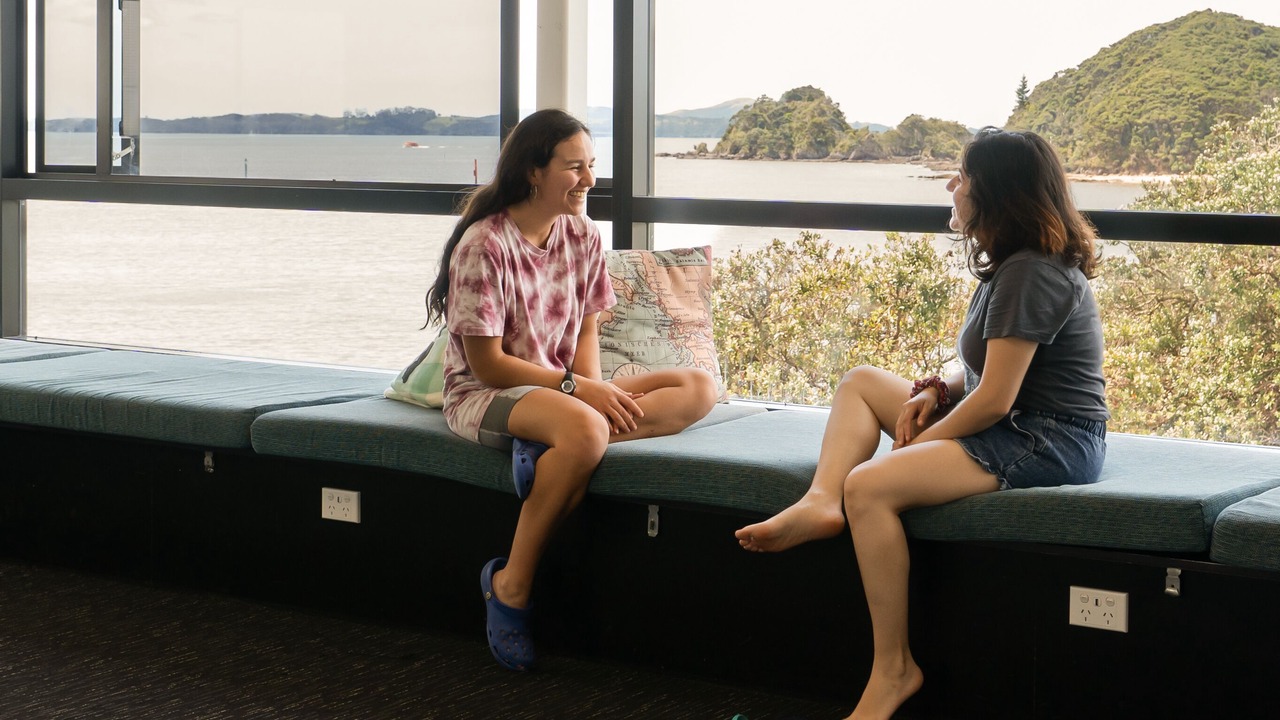Photo of Human In Picture in Paihia