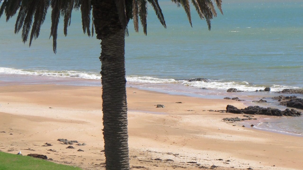 Photo of Outdoor in Cable Bay