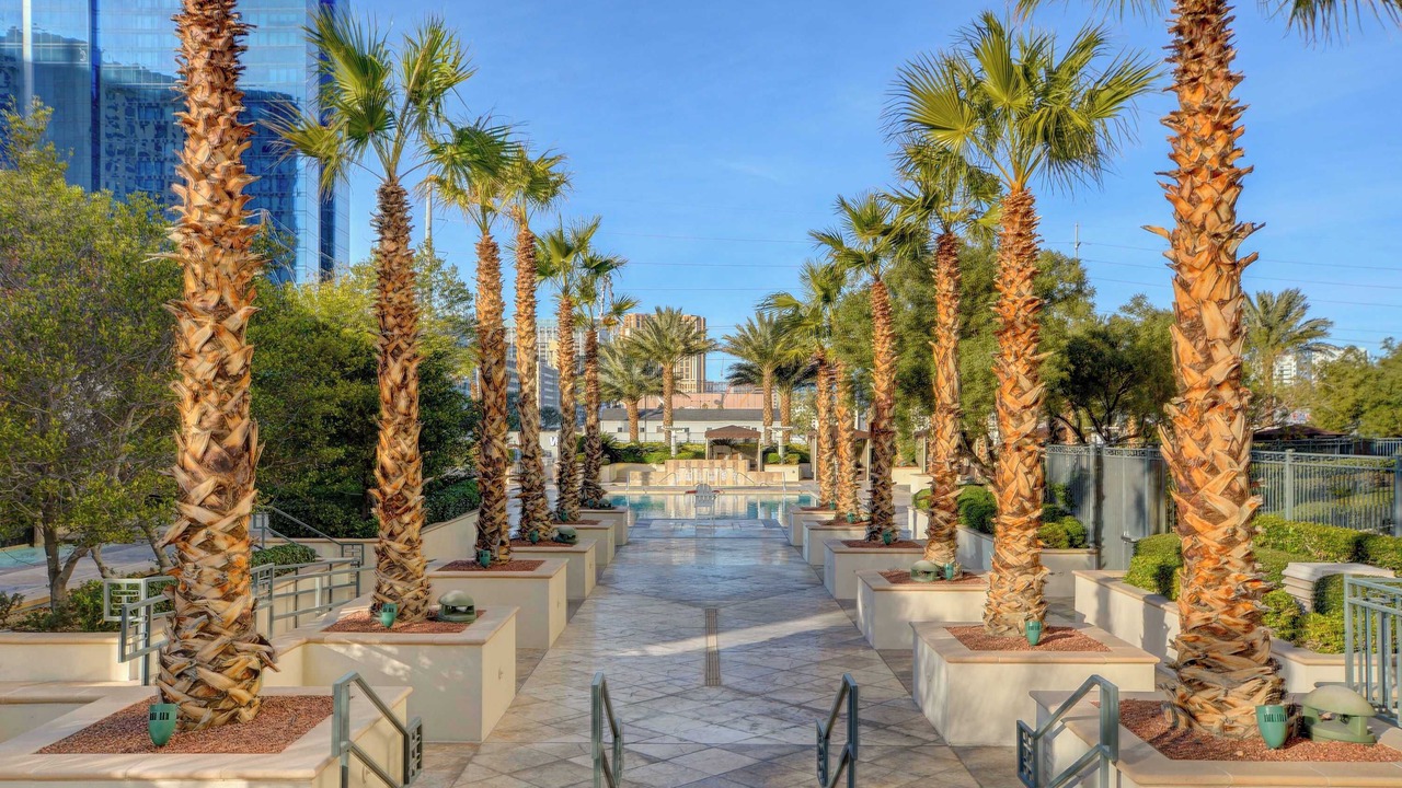Photo of Outdoor in Las Vegas
