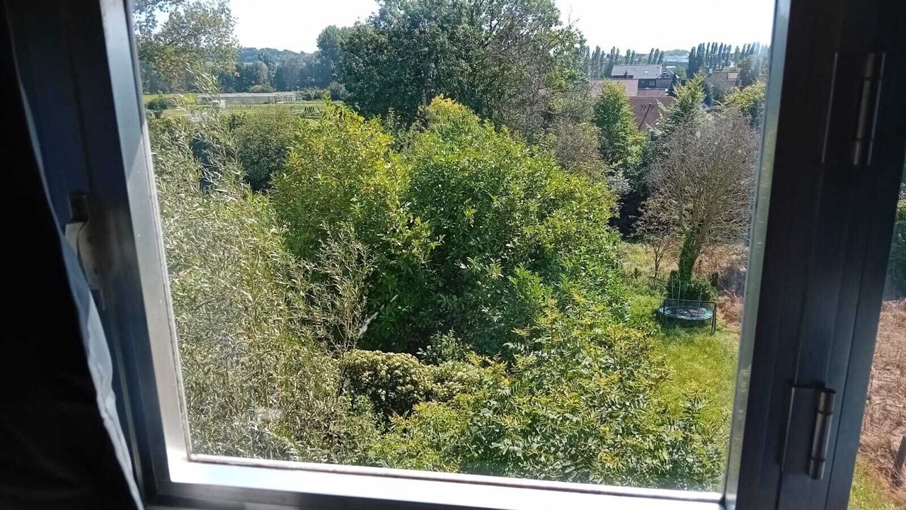 Photo of Others in Relegem