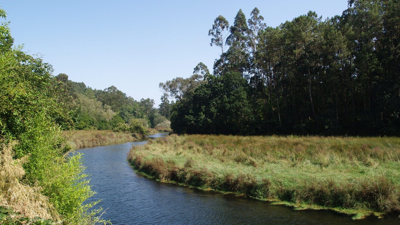 Photo of Outdoor in Callobre