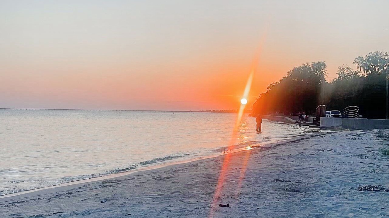 Photo of Others in Mandeville