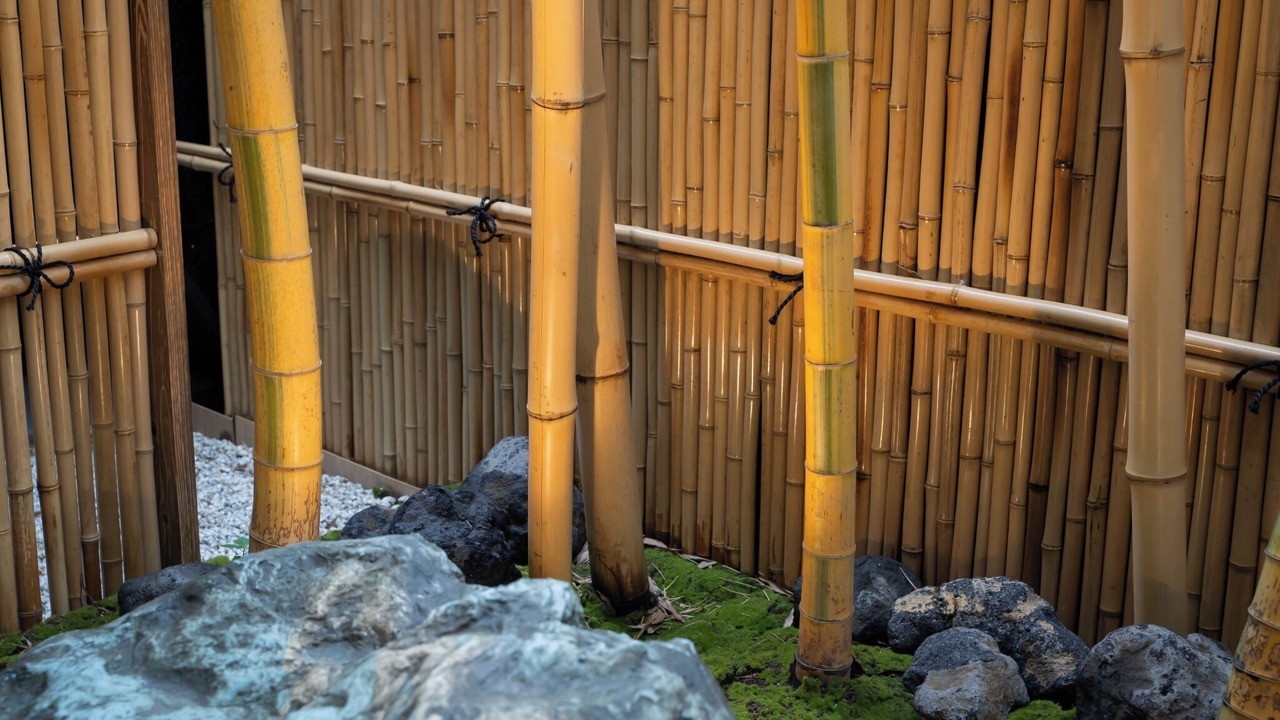 Photo of Outdoor in Namba