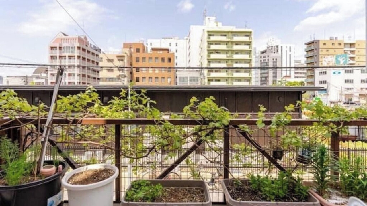 Photo of Outdoor in Tennoji