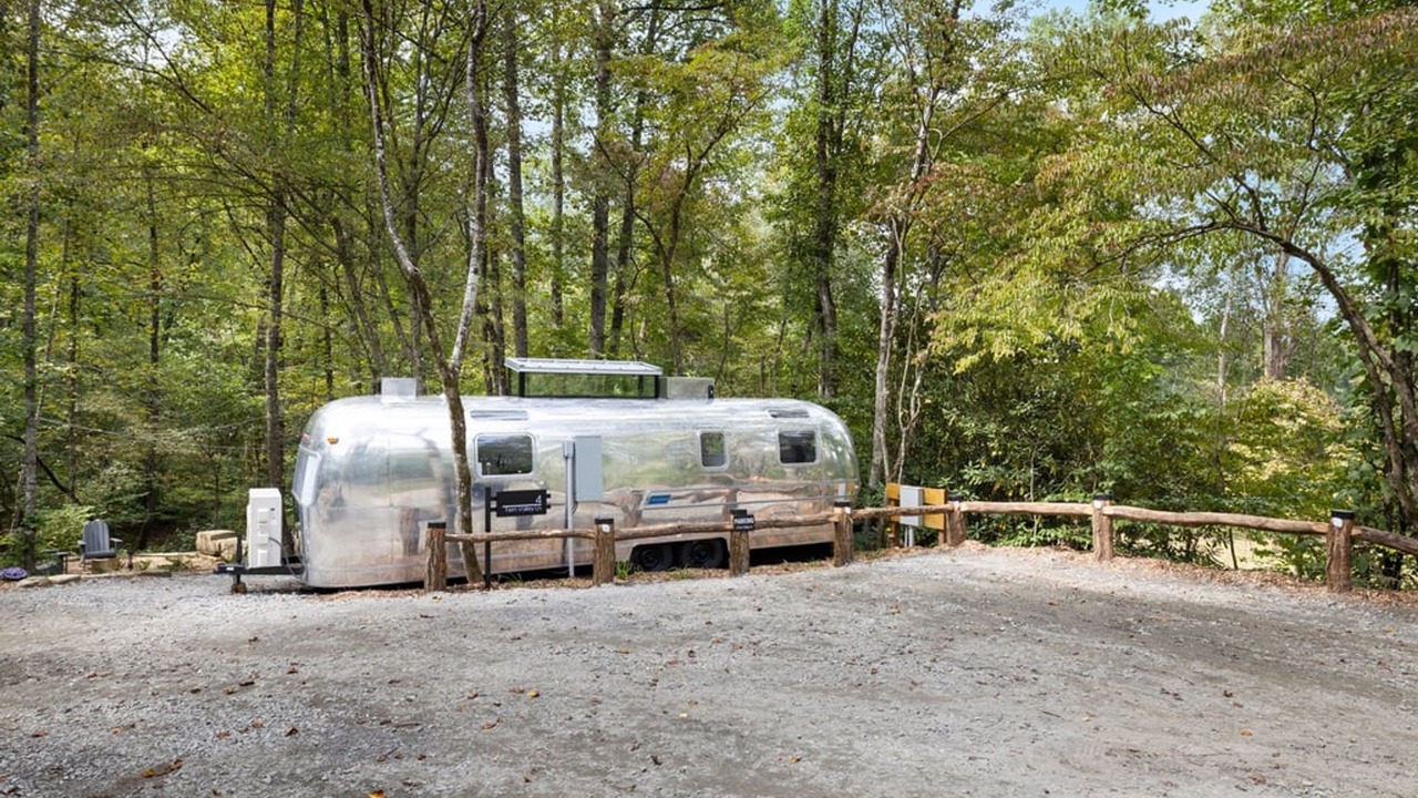 Photo of Others in Pisgah Forest
