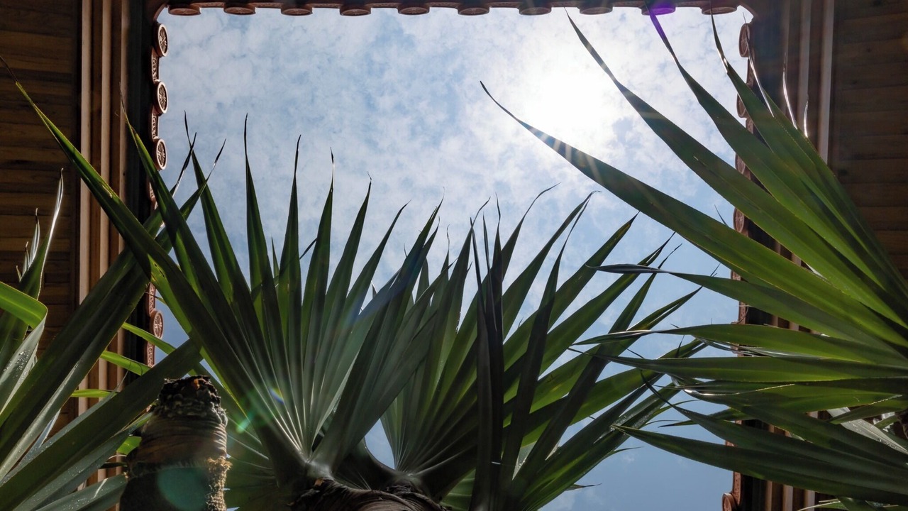 Photo of Outdoor in Shiraho