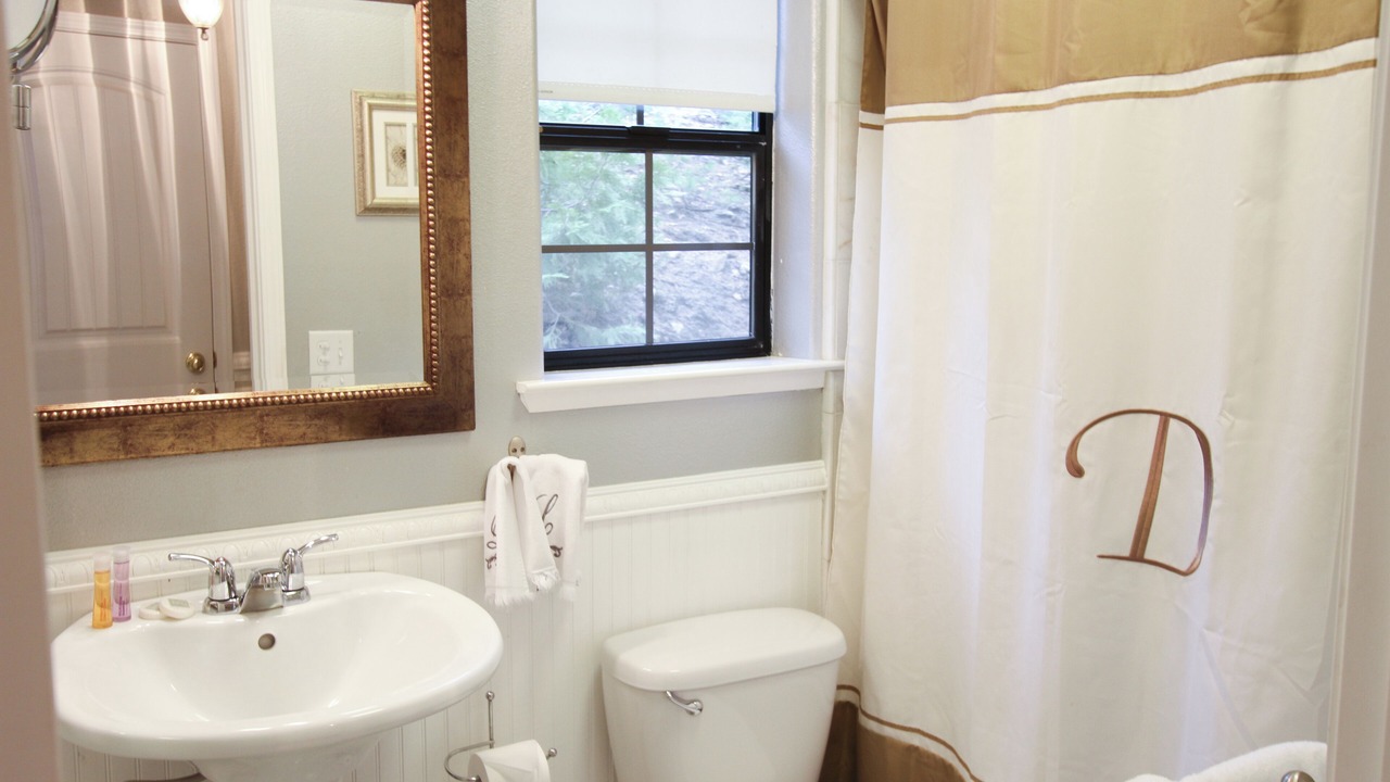 Photo of Bathroom in Shaver Lake