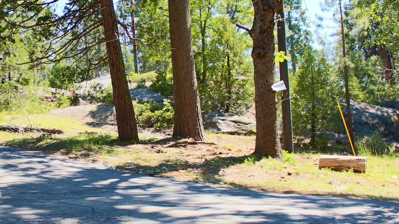 Photo of Outdoor in Shaver Lake