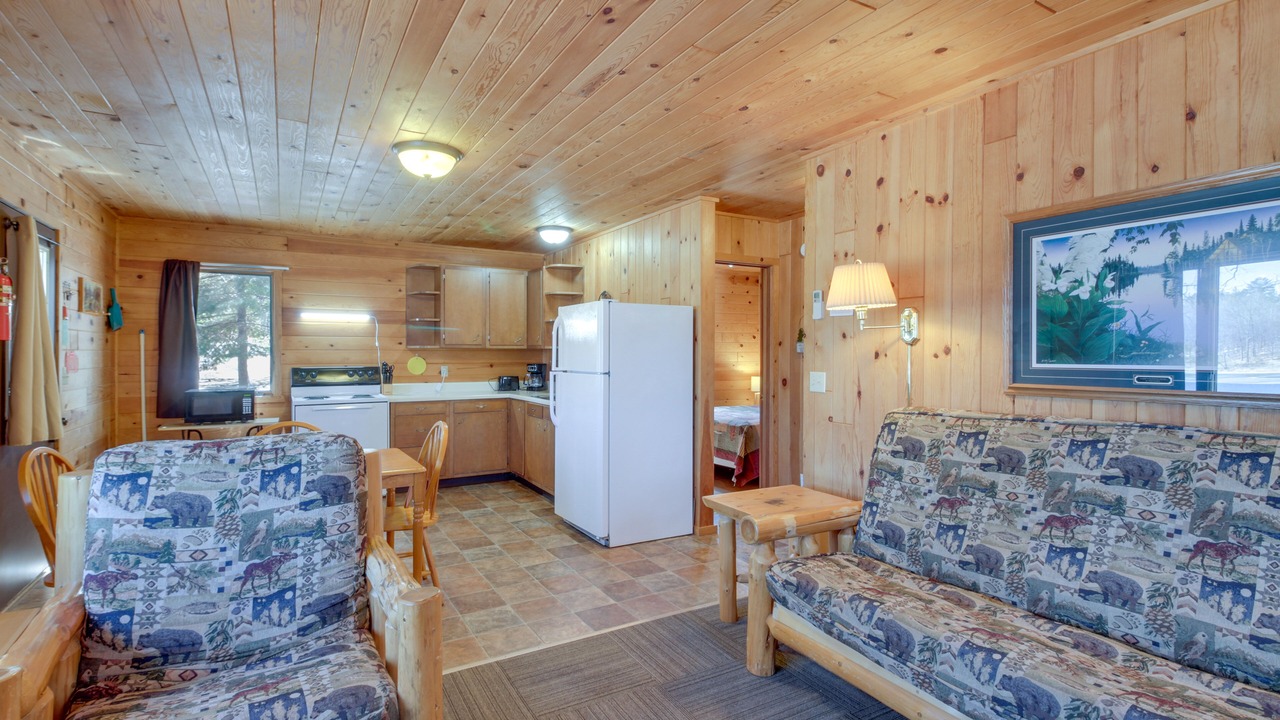 Photo of Livingroom in Park Rapids