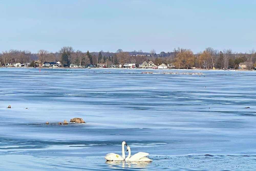 Photo of Others in Lindsay