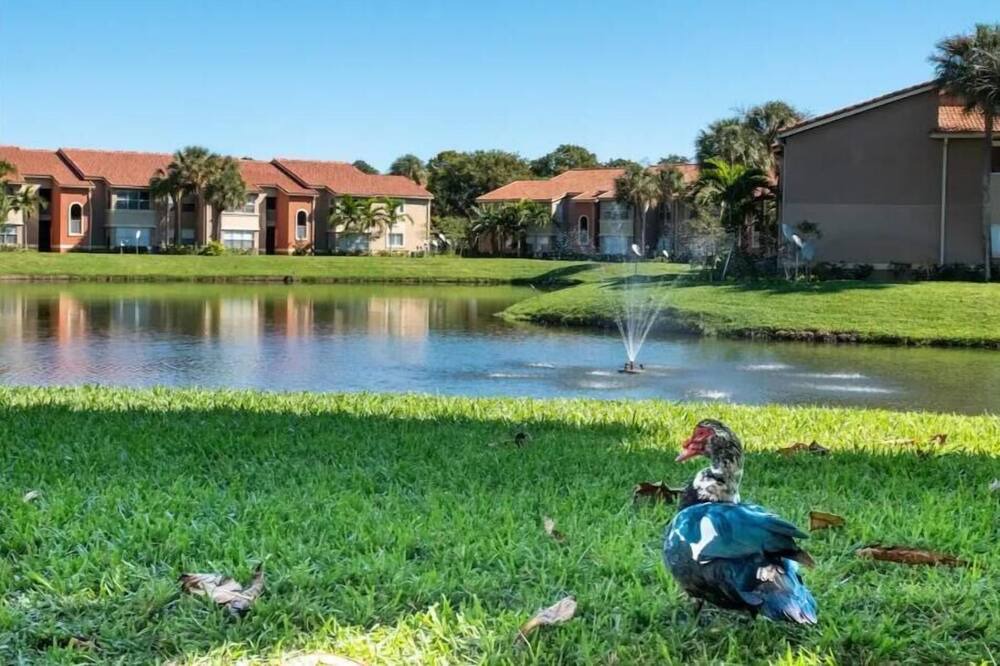 Photo of Outdoor in Deerfield Beach