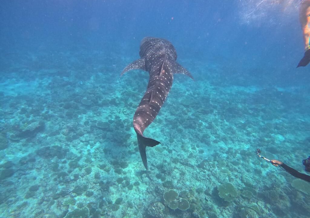 Photo of Outdoor in Mahibadhoo