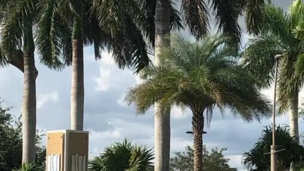 Photo of Outdoor in Naples Park