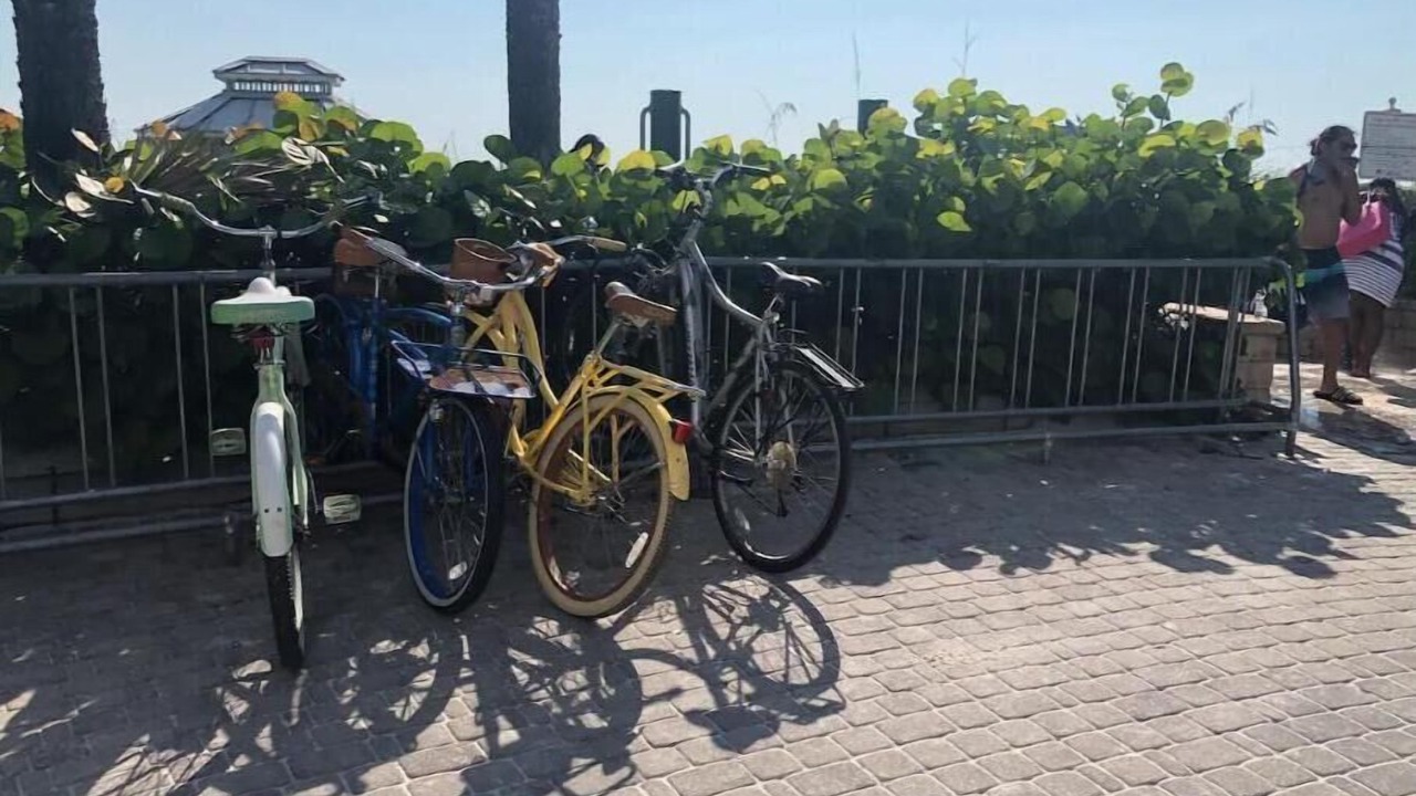 Photo of Outdoor in Naples Park