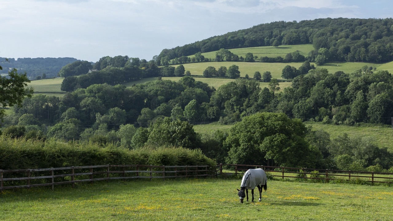 Photo of Others in Stroud