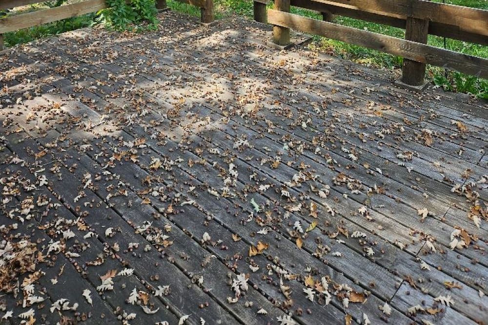 Photo of Outdoor in Clearbrook
