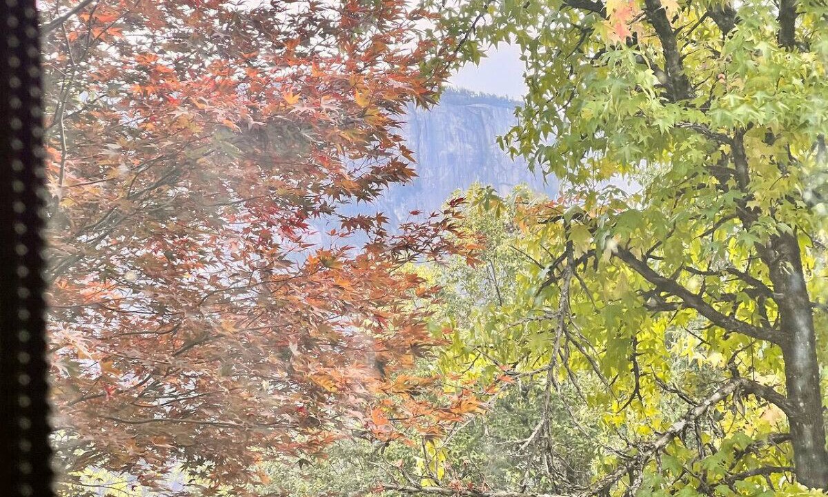 Photo of Others in Squamish