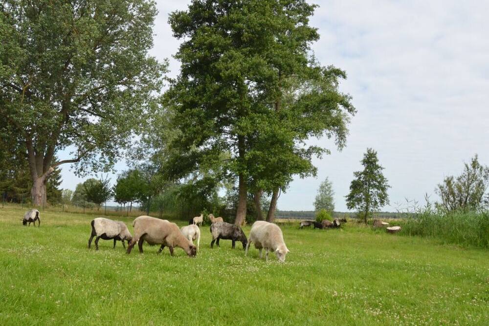 Photo of Others in Breetz