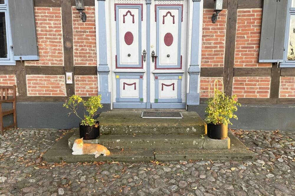 Photo of Others in Breetz