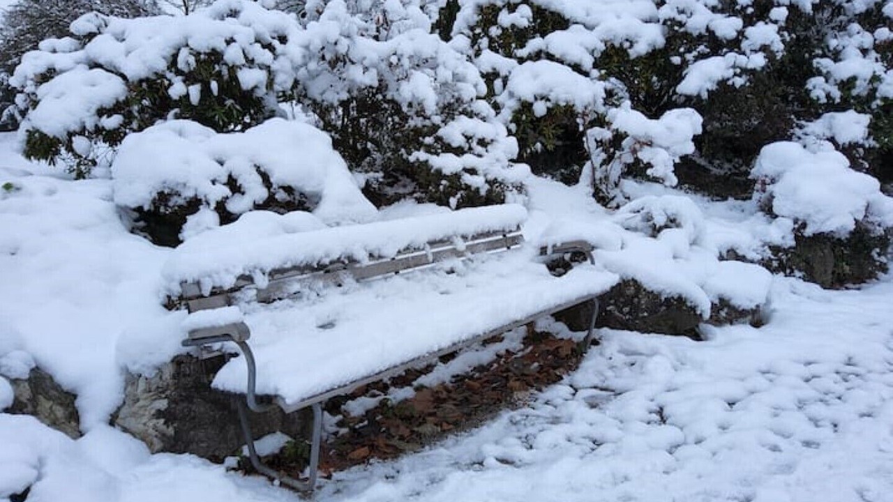 Photo of Outdoor in Horgen District