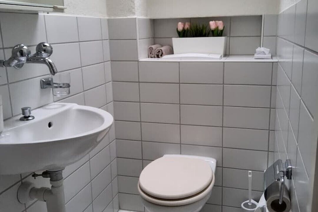 Photo of Others in Horgen District